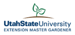 Online Classes Pros